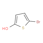 5-bromothiophen-2-ol 1313392-39-0